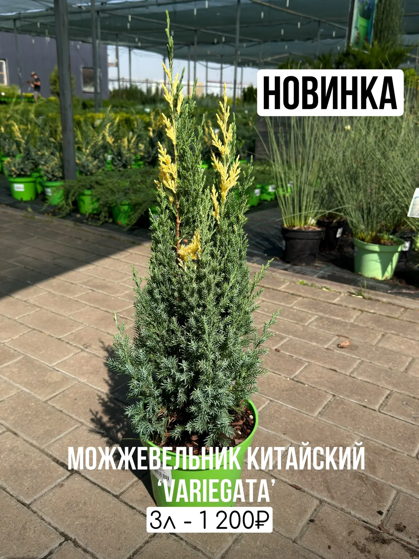 Работаем в воскресенье до 18:00