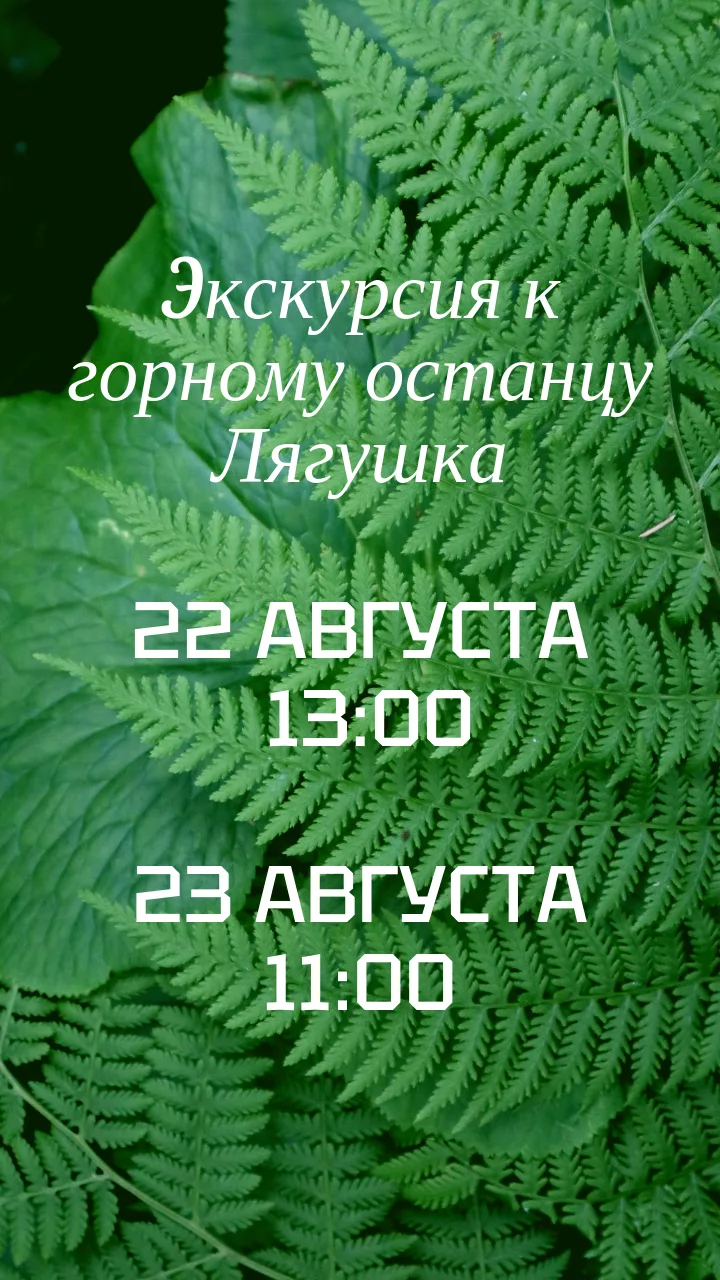 ЭКСКУРСИЯ НА ЛЯГУШКУ