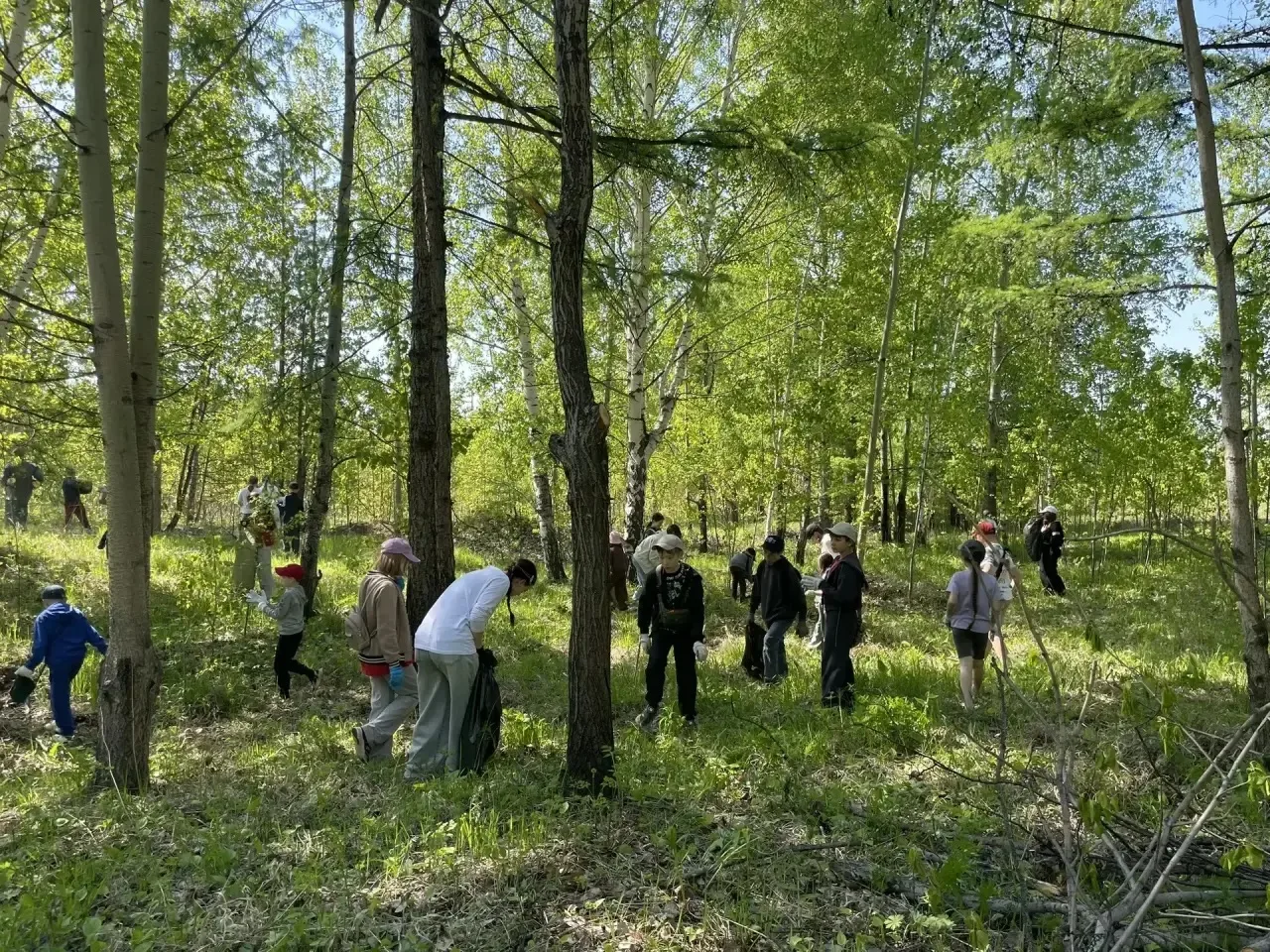 🌿 Чистый город начинается с нас: как наши ребята отметили День эколога!

Сегодня, 6 июня, в професс