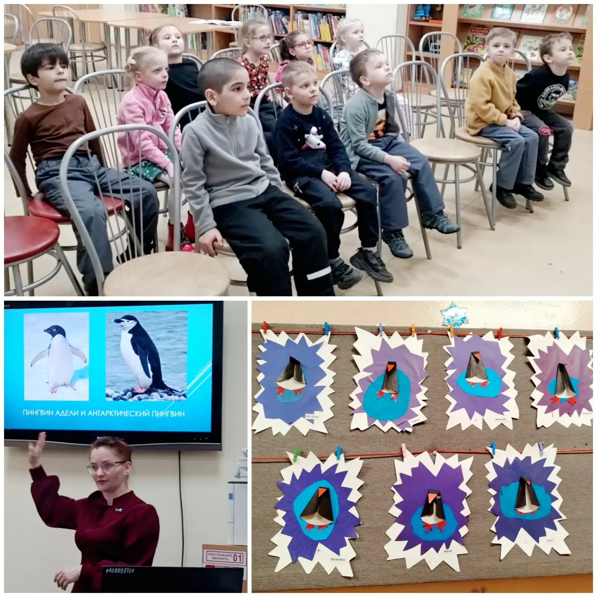 📍25 апреля отмечался Всемирный День пингвинов.🐧