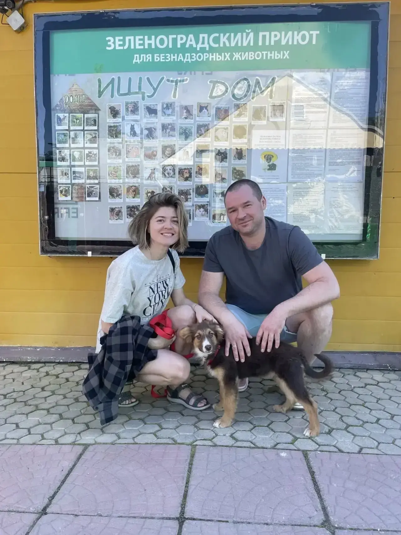 #Выпускники_Доринвест: 18 питомцев обрели дом! 🐱🐶

✨ Делимся радостными новостями! В период с 28 м