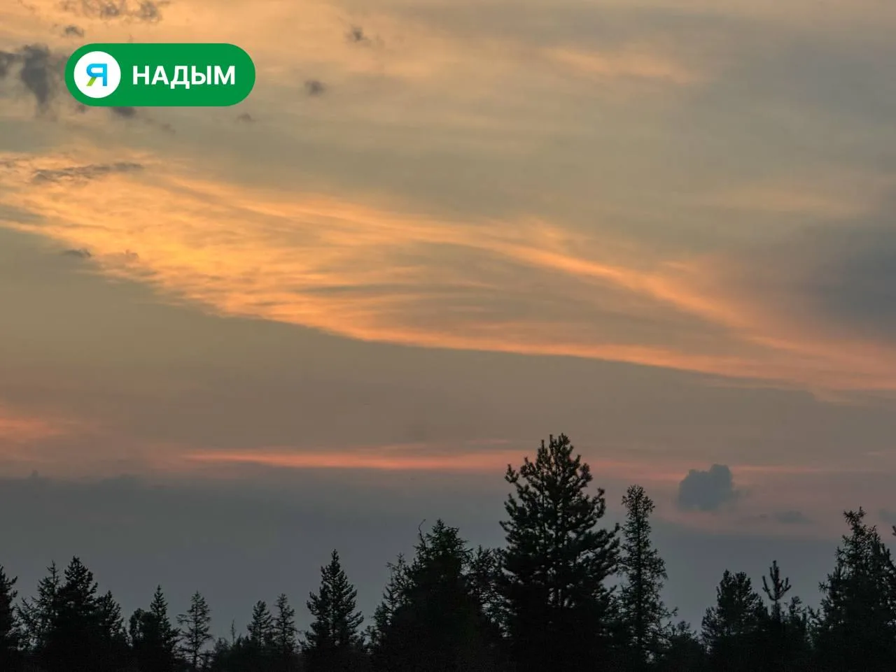 Контрасты нашего надымского неба ⚡🌅

Природа Севера в очередной раз продемонстрировала свою непредс