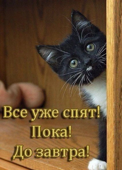 Добрых снов!.
