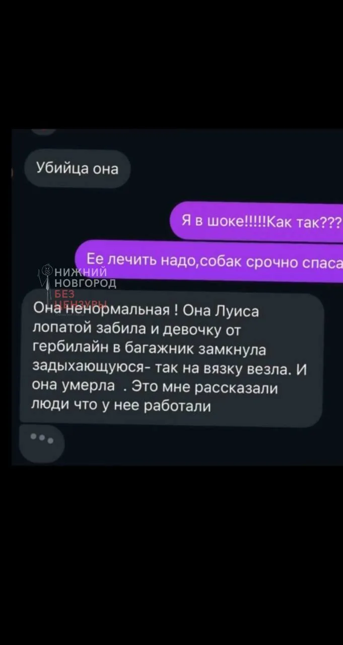 🐕 Элитный питомник американских булли в Дзержинске оказался живодёрней  Зооволонтеры забили тревогу 