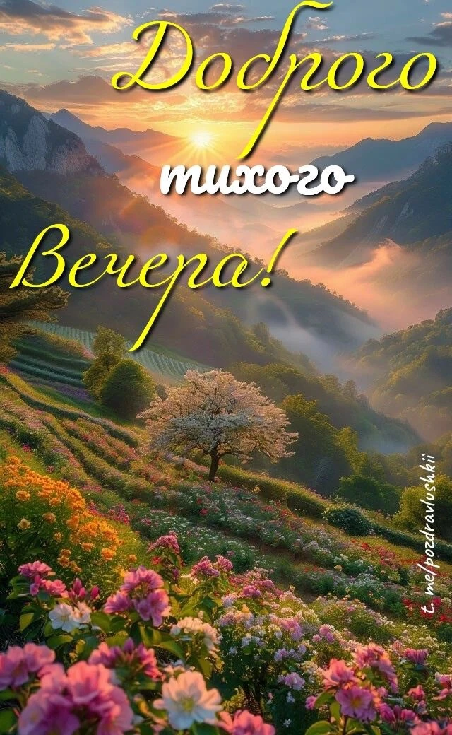 Красивые открытки❤️