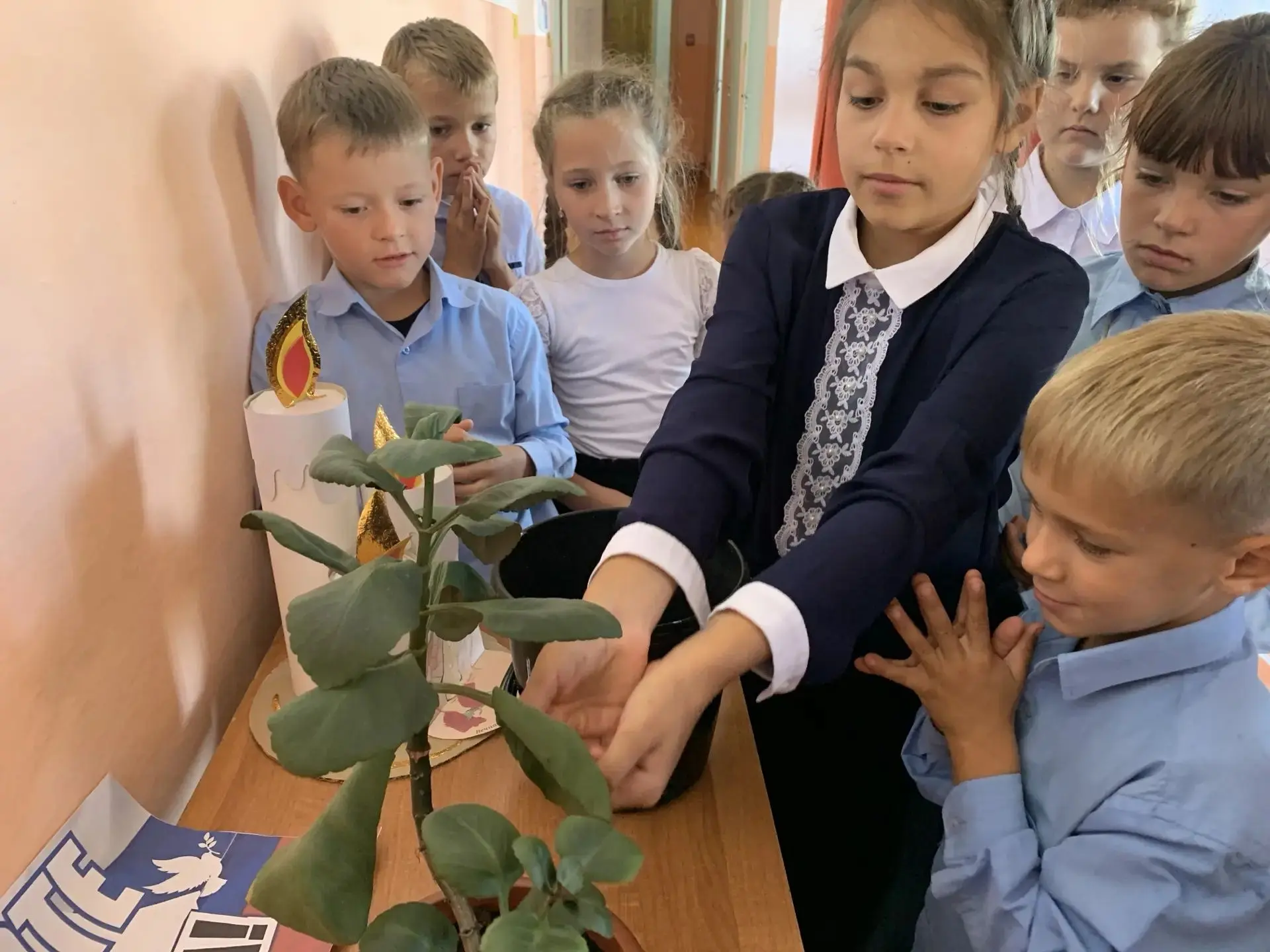 ПОМНИМ. СКОРБИМ. ЦЕНИМ ЖИЗНЬ. 🕯️🌱