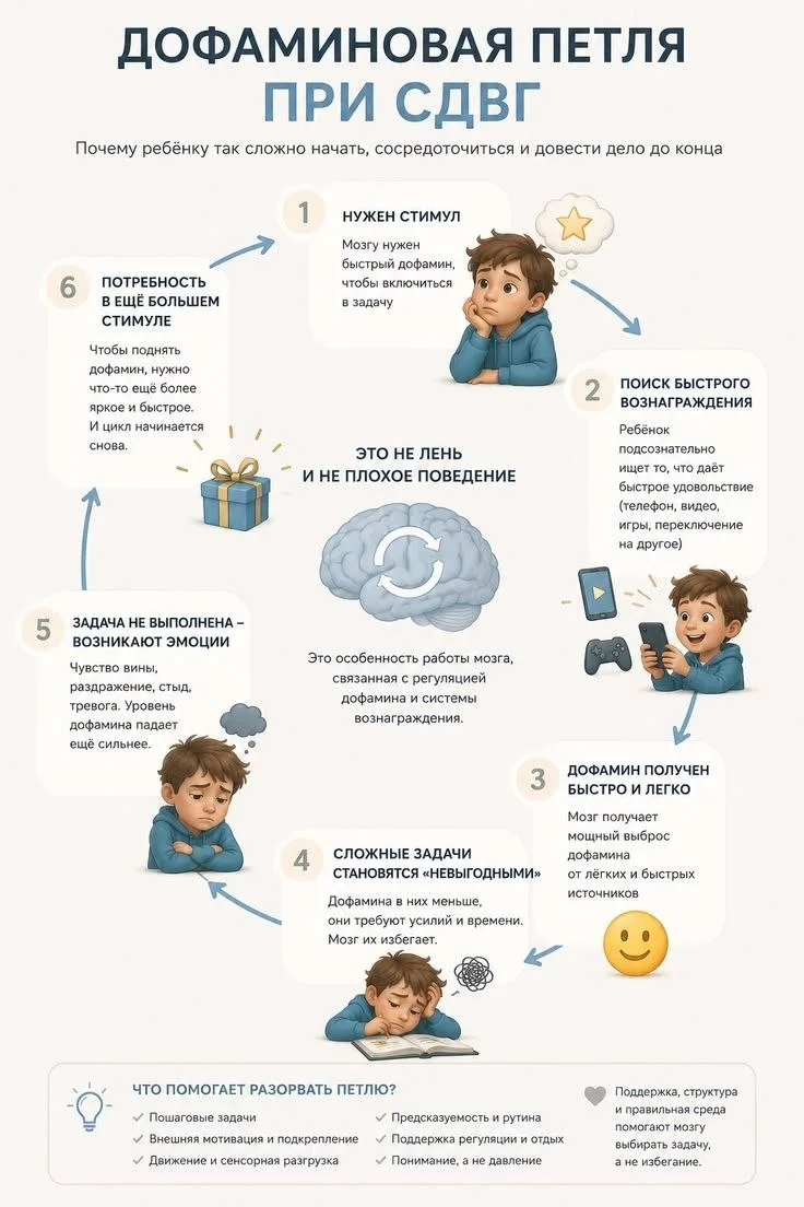 Дофаминовая петля👌

👶 ДЕТИ и РОДИТЕЛИ 👶