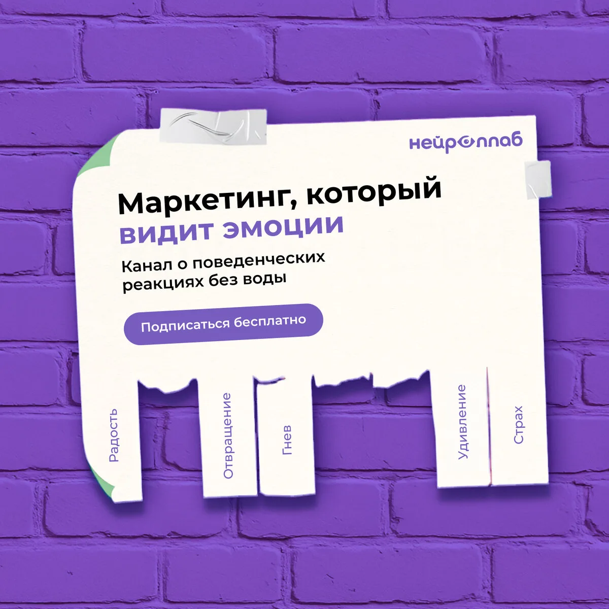 Нейроллаб: трансформируем маркетинг через науку о мозге
