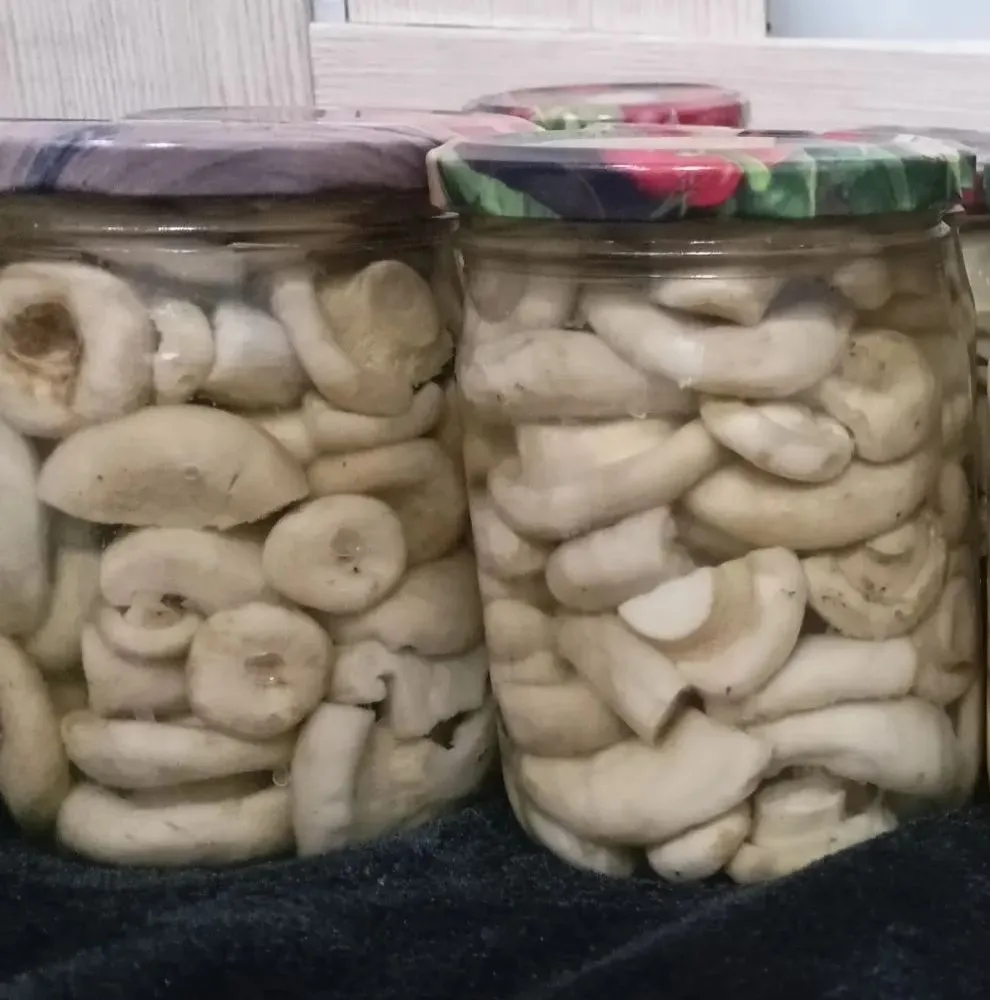 Есть в наличии рыжики и грузди. Кому 🤗