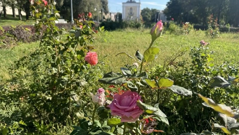 ☀️ 8 октября астраханцев ждёт комфортная тёплая погода