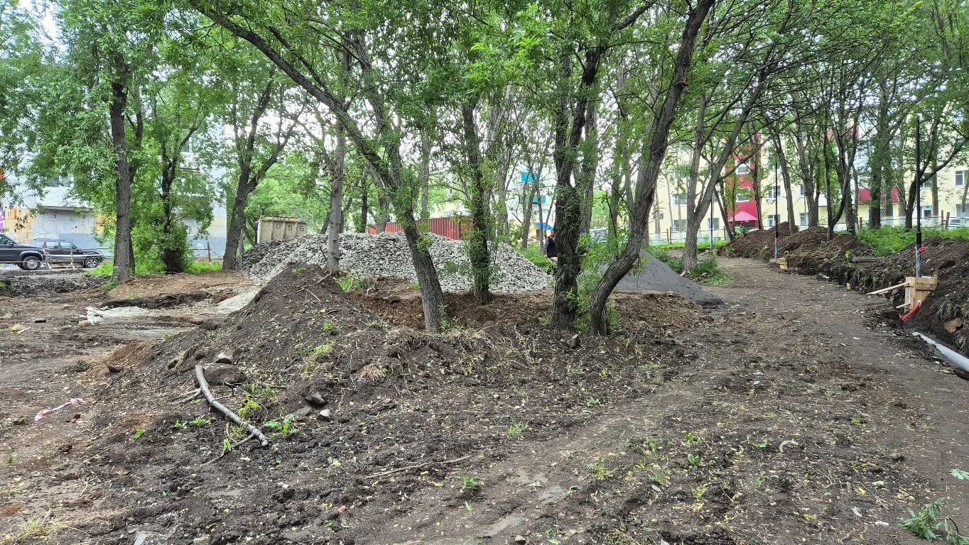 🏘️На Пограничной появится новый пешеходный маршрут

В Петропавловске-Камчатском началось благоустро