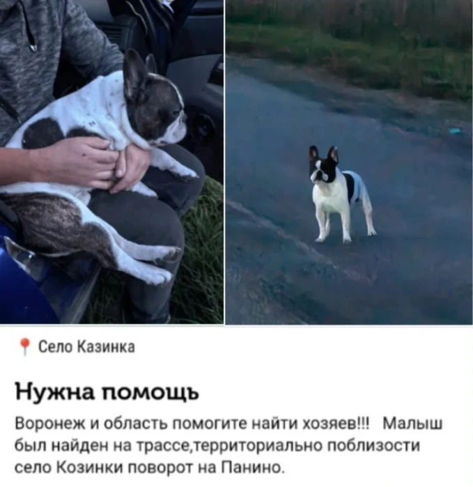 💔В Воронежской области ищут хозяев малыша!