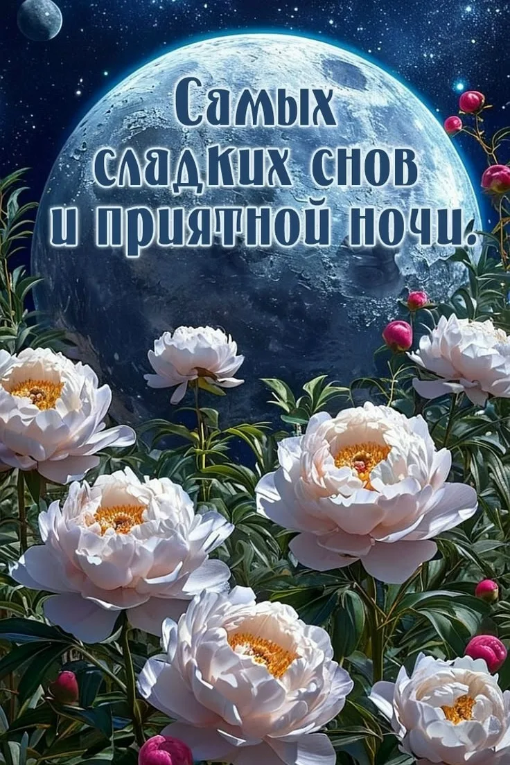 ОТКРЫТКИ