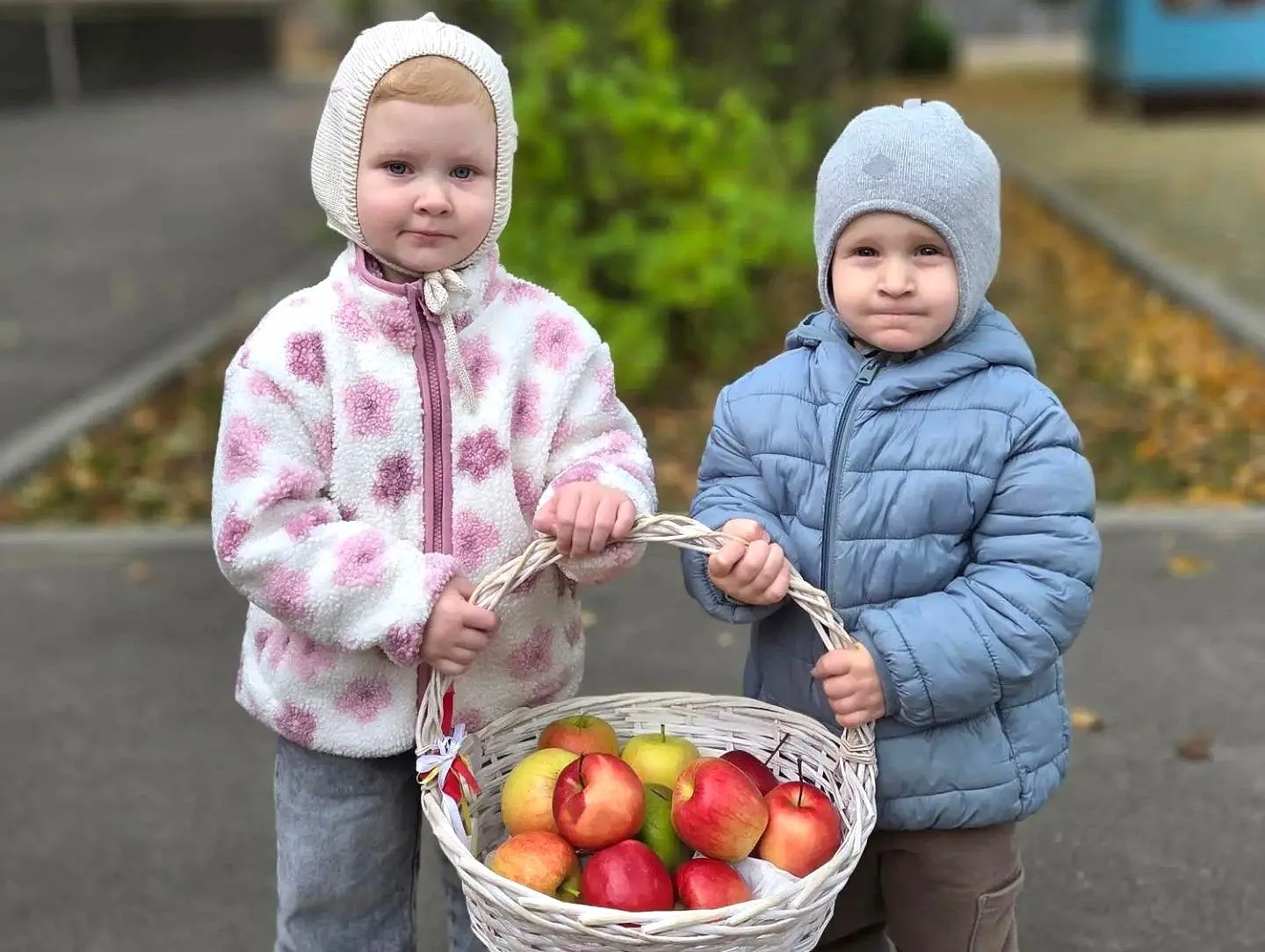🍎 Дары осени — яблочки!