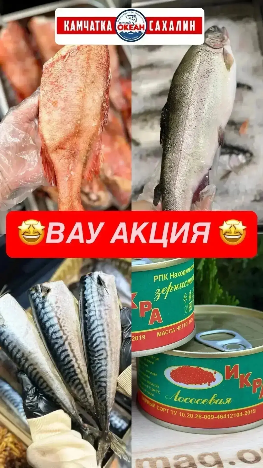🤩ЭТО ВАУ 🤩 А НЕ АКЦИЯ 🤩