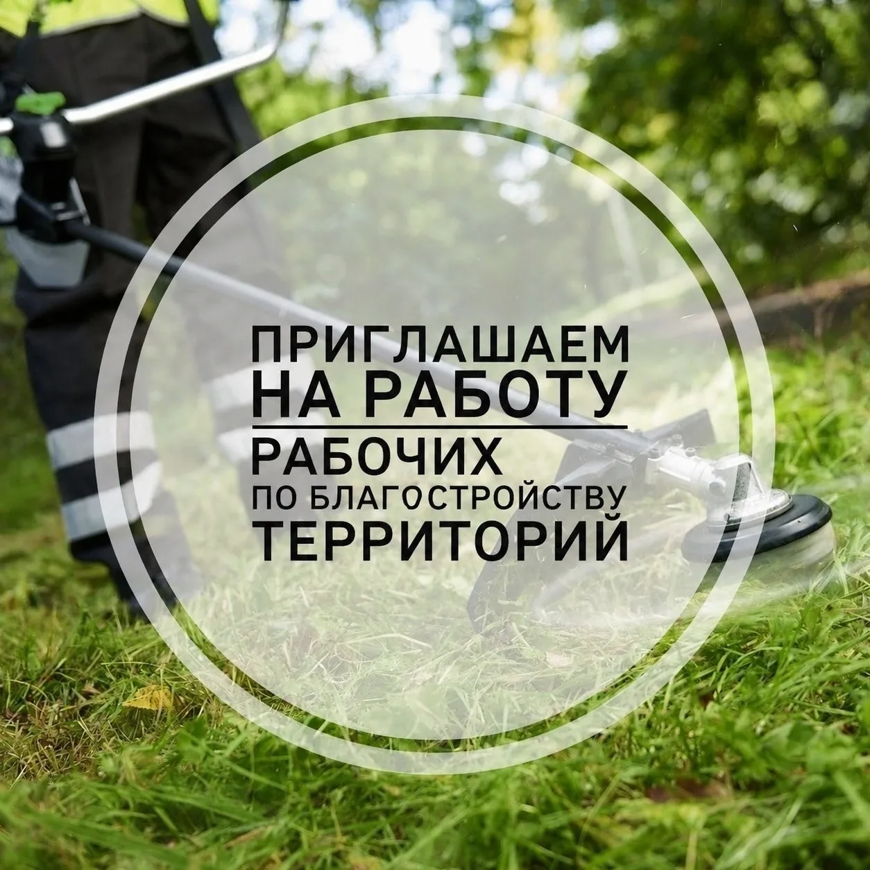 В МКУ «Служба СиБ» требуются рабочие на благоустройство на летний период на 7-часовой р...