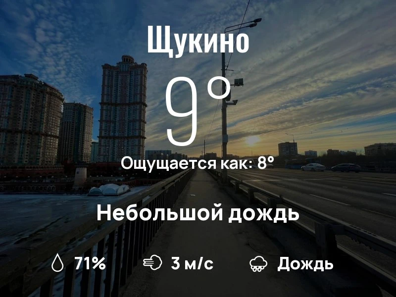 Какая погода в Щукино?