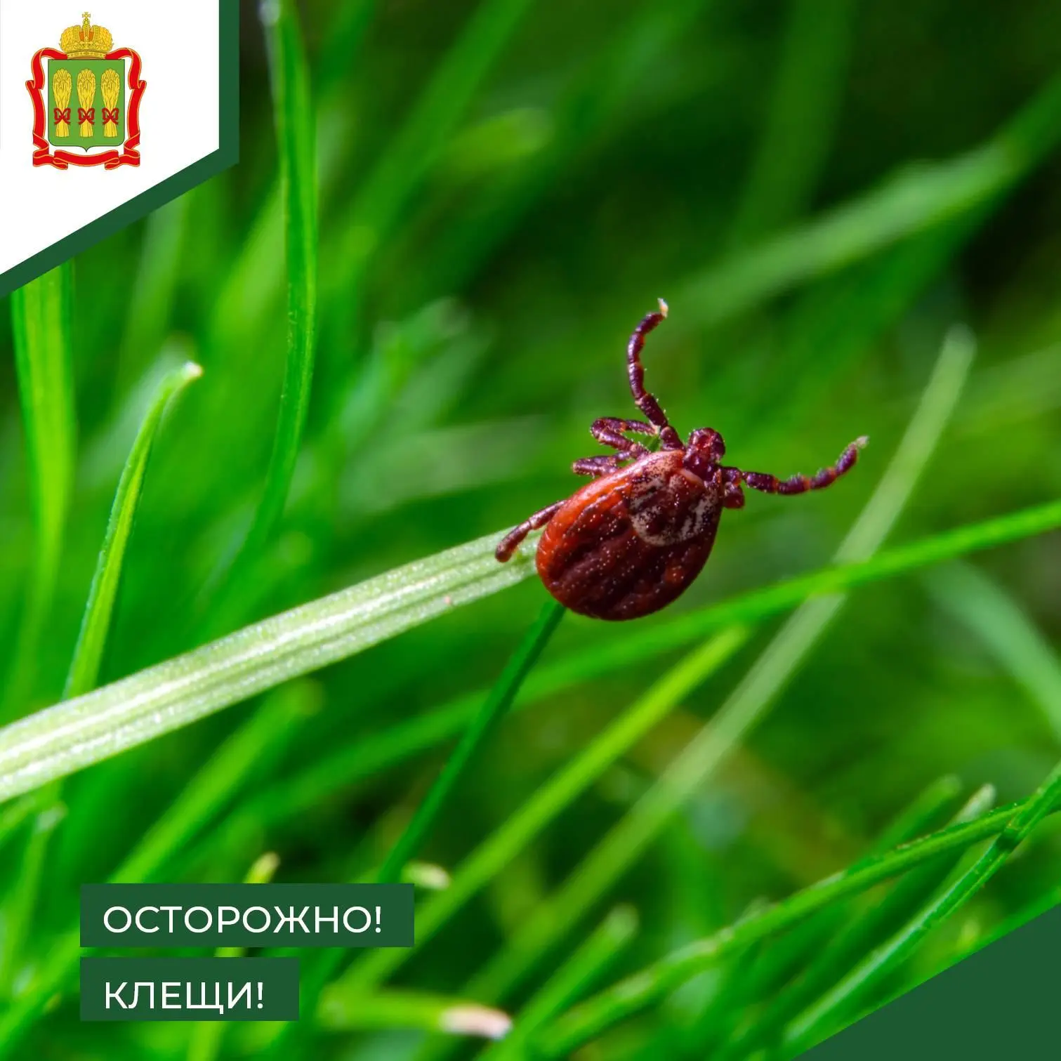 🏞 Лето – время долгих прогулок, походов и пикников на природе. Но вместе с наслаждение...
