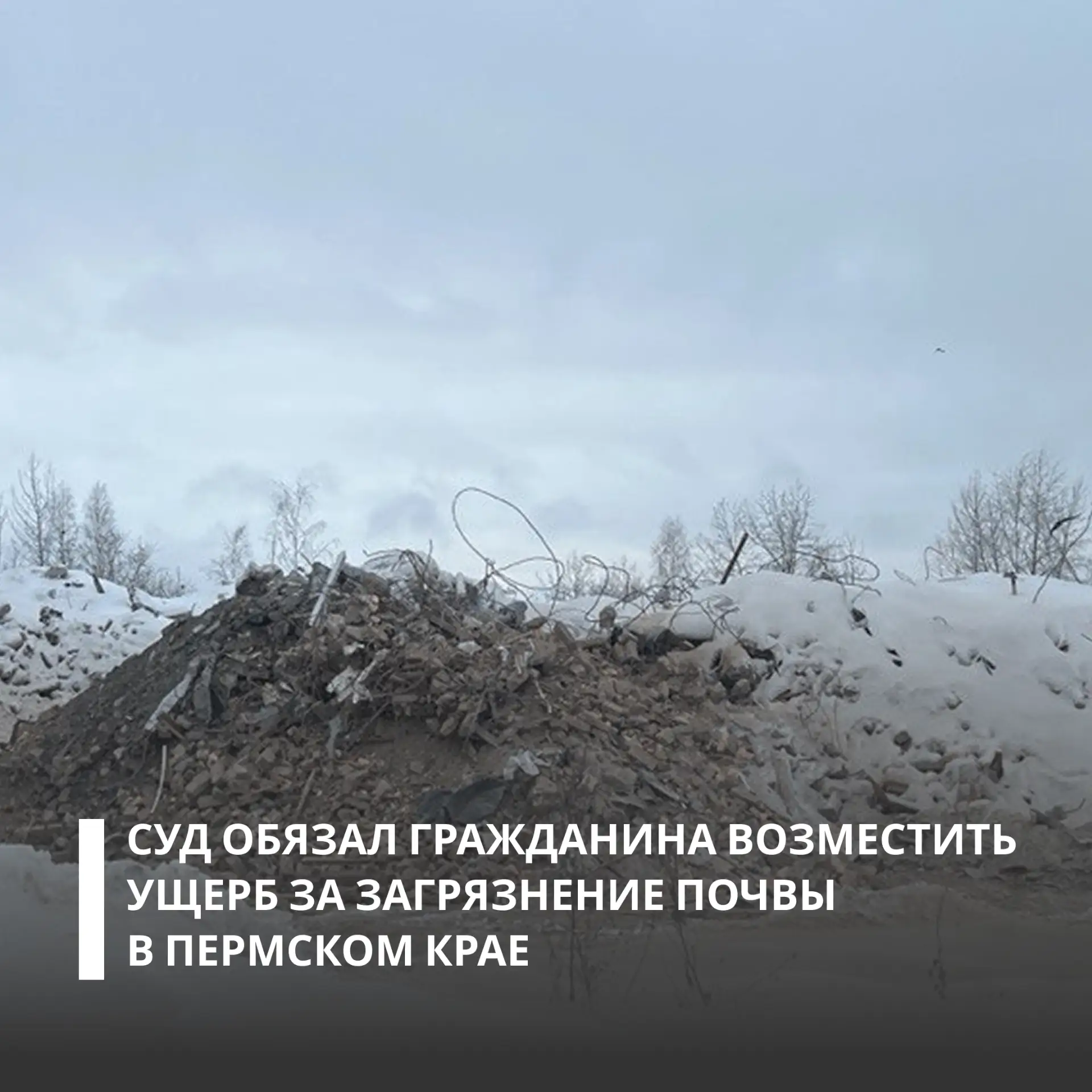 Пермский краевой суд поддержал требования Росприроднадзора к гражданину, допустившему загрязнение по