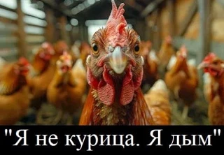 Самая вредная мысль писательницы, автора бестселлеров о славянской мифологии А. Барковой – про курьи