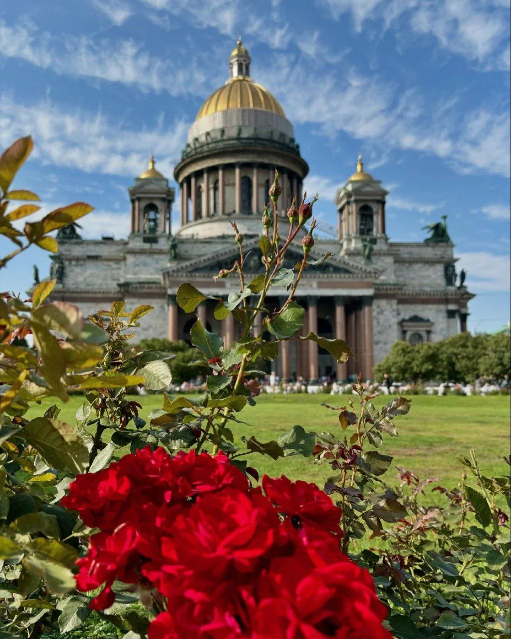 Объясняйте это как хотите, но в Петербурге есть эта загадка – он действительно влияет н...