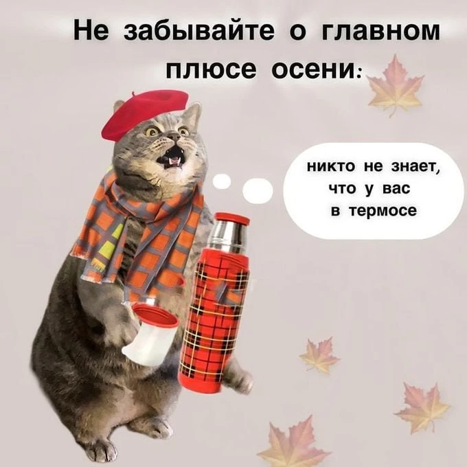 Есть и плюсы