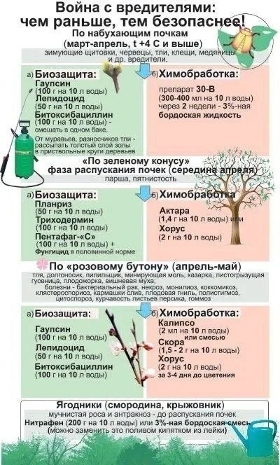 Шпаргалка о борьбе с вредителями ✅

🌱 Дача Сад Огород подписаться