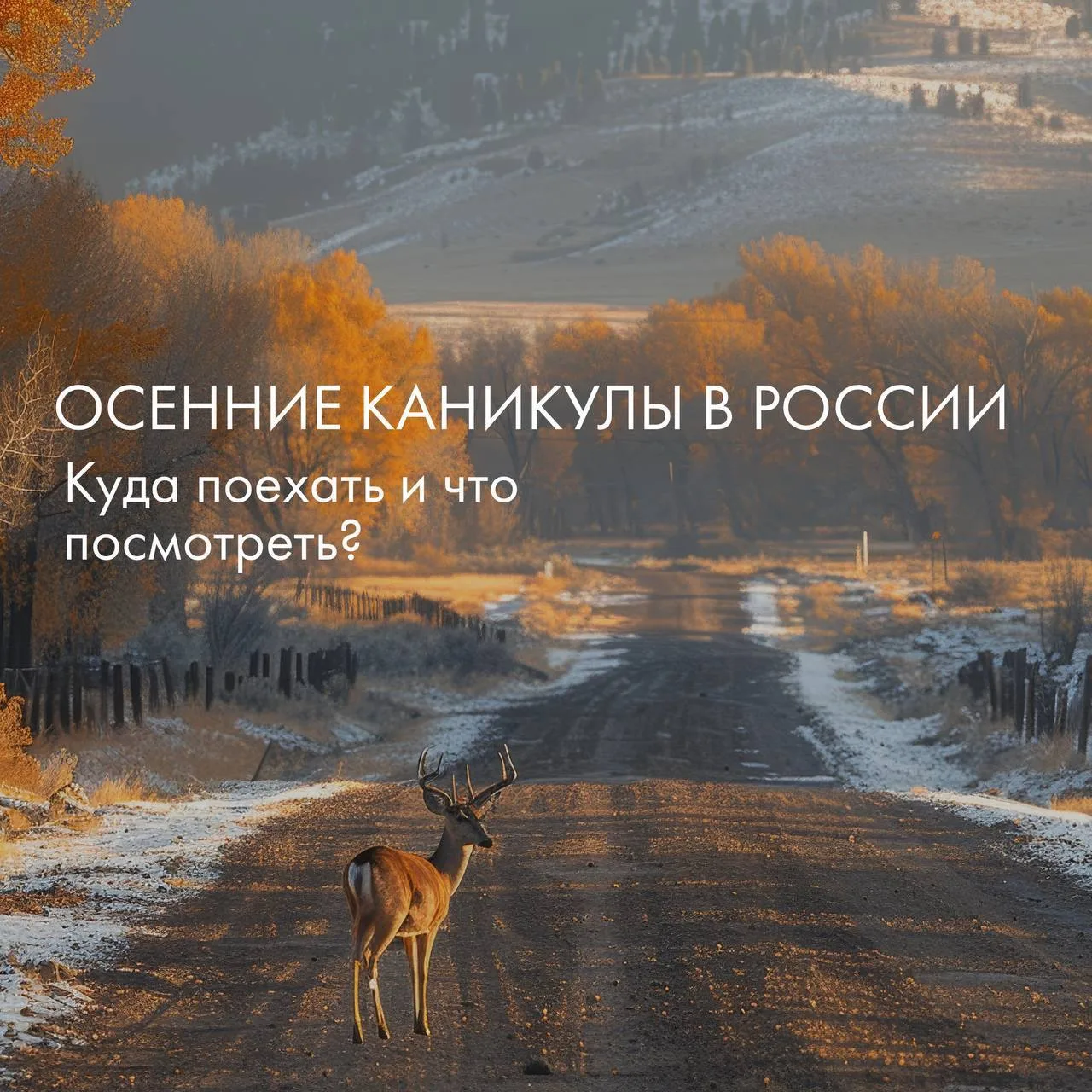 🍁 Осенние каникулы в России: Куда поехать и что посмотреть? 🍁
