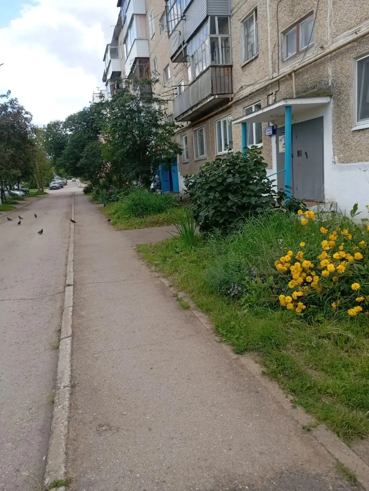 🏘️ д. 35