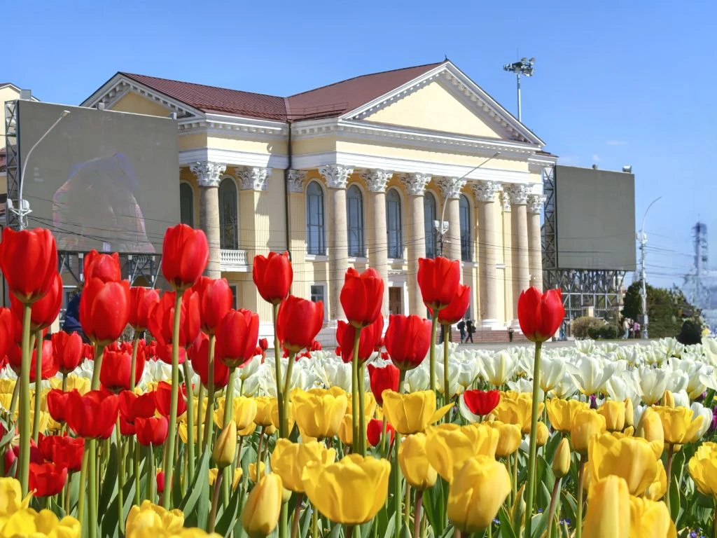 🌺 Библиотека в весенних цветах