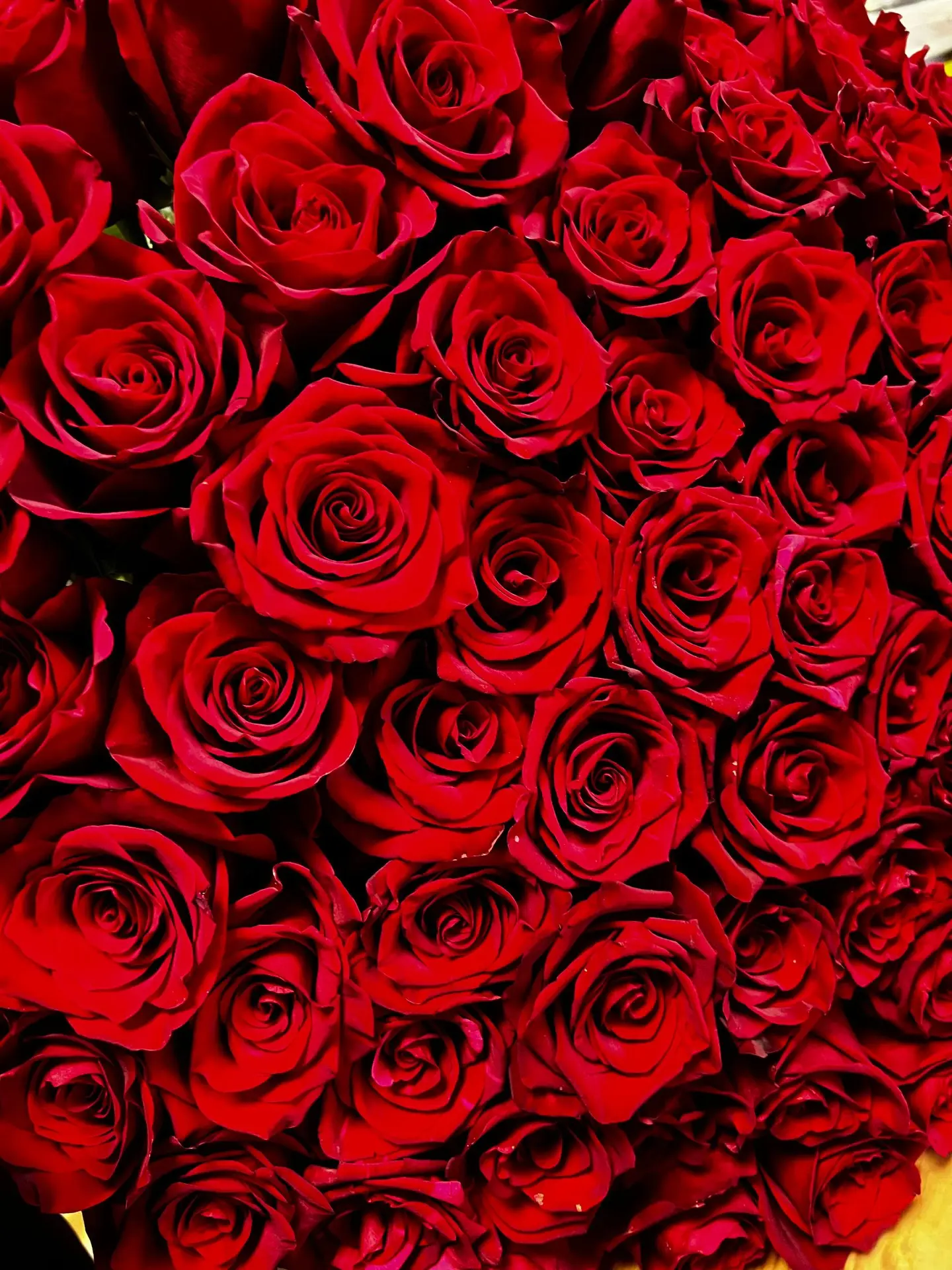 ❤️101❤️