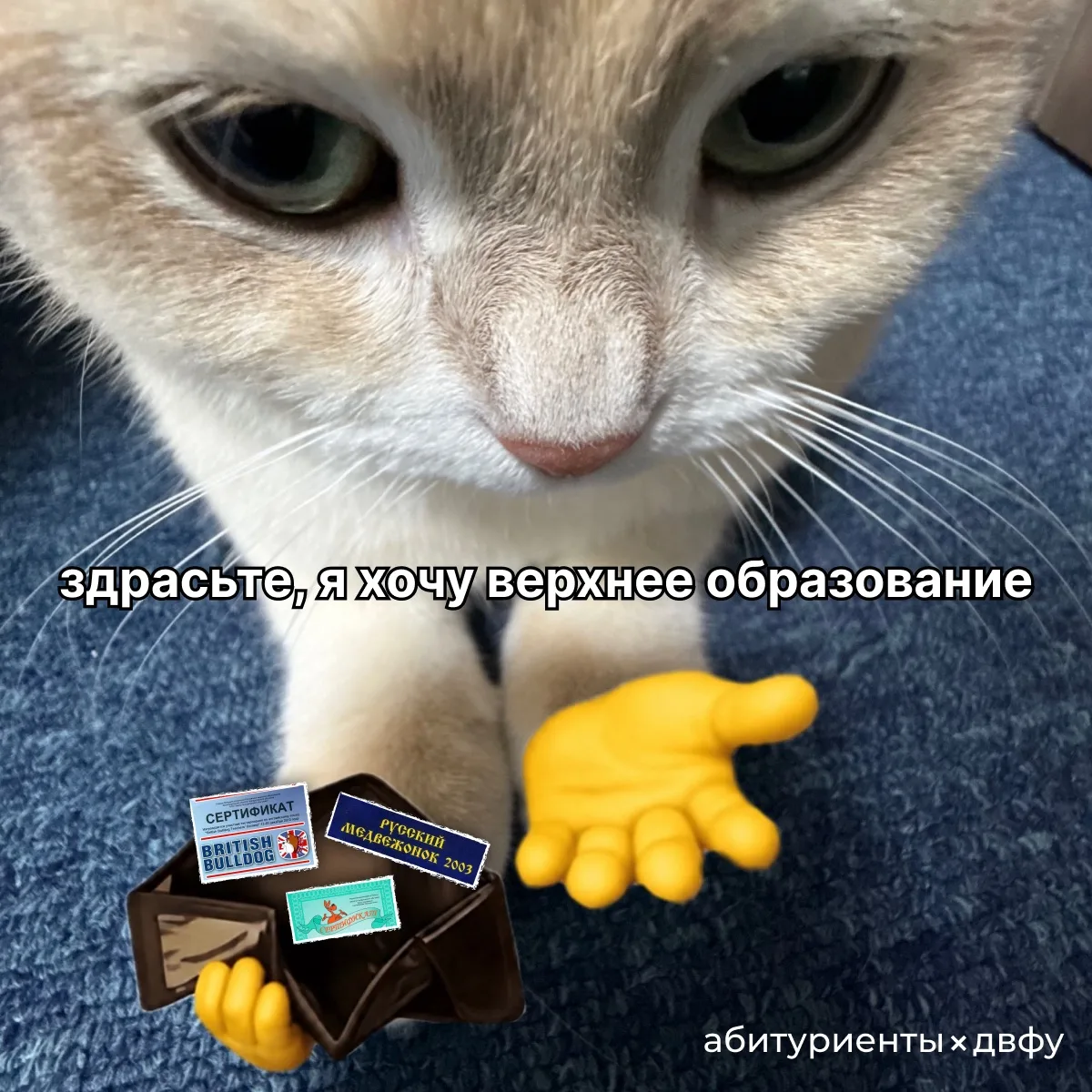 Прием документов через портал Госуслуги открыт 🎉

➡️ Смотри подробную видео-инструкцию по ссылке  
