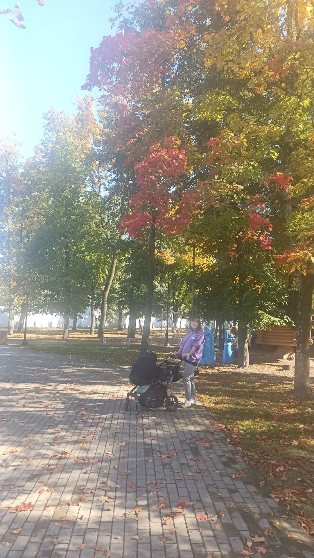 Осеннее фото вам 🍁