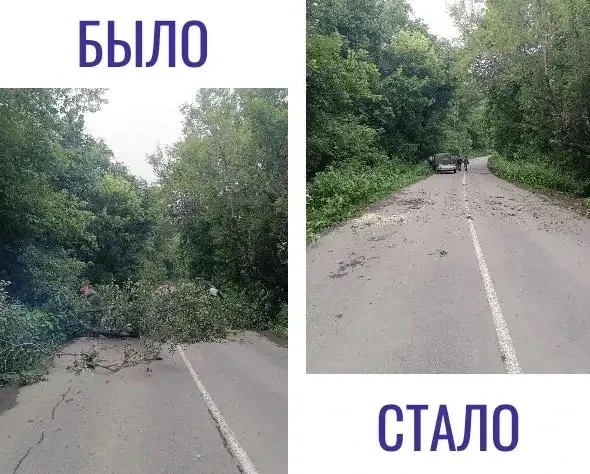 Рабочие ПЭО убрали упавшее дерево, сообщила администрация .
