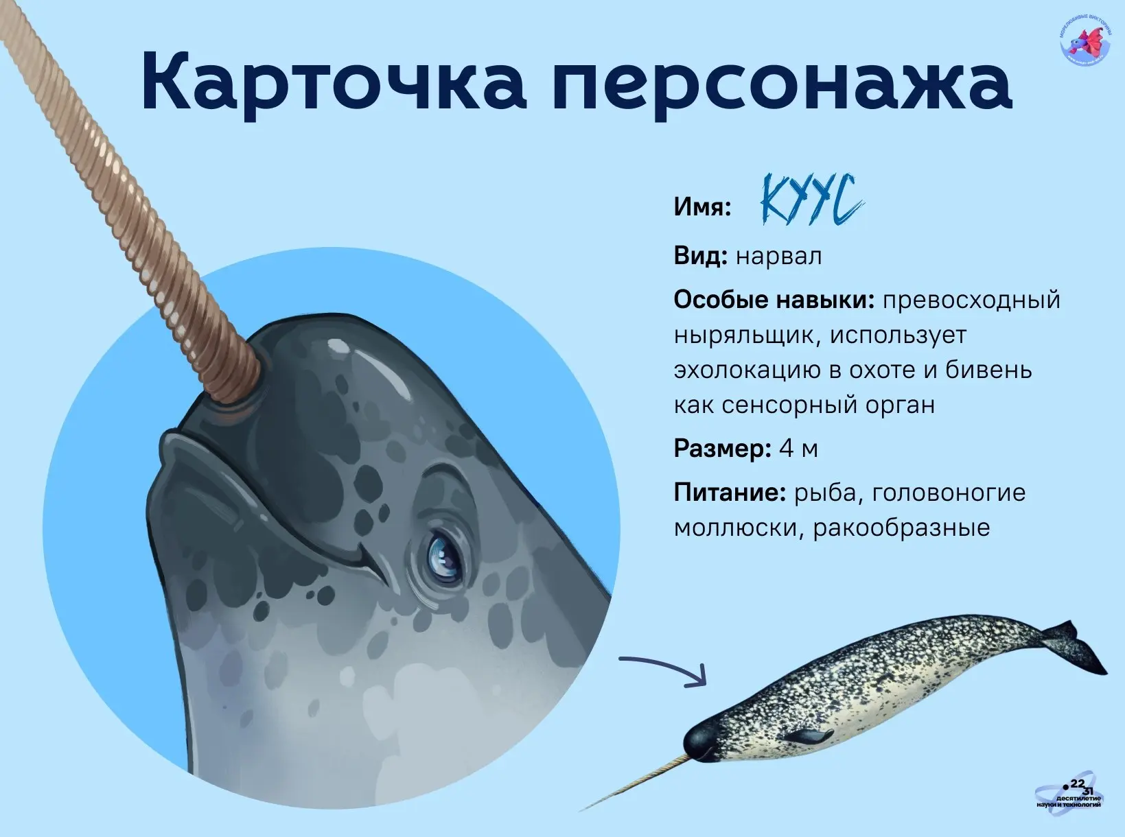 Недалеко от Северной Земли Мори встретила настоящего нарвала! 🦄