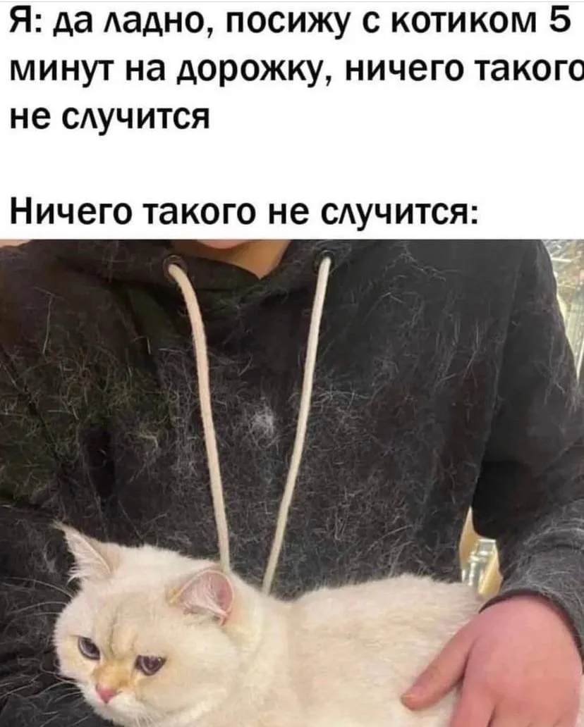Пчёлка