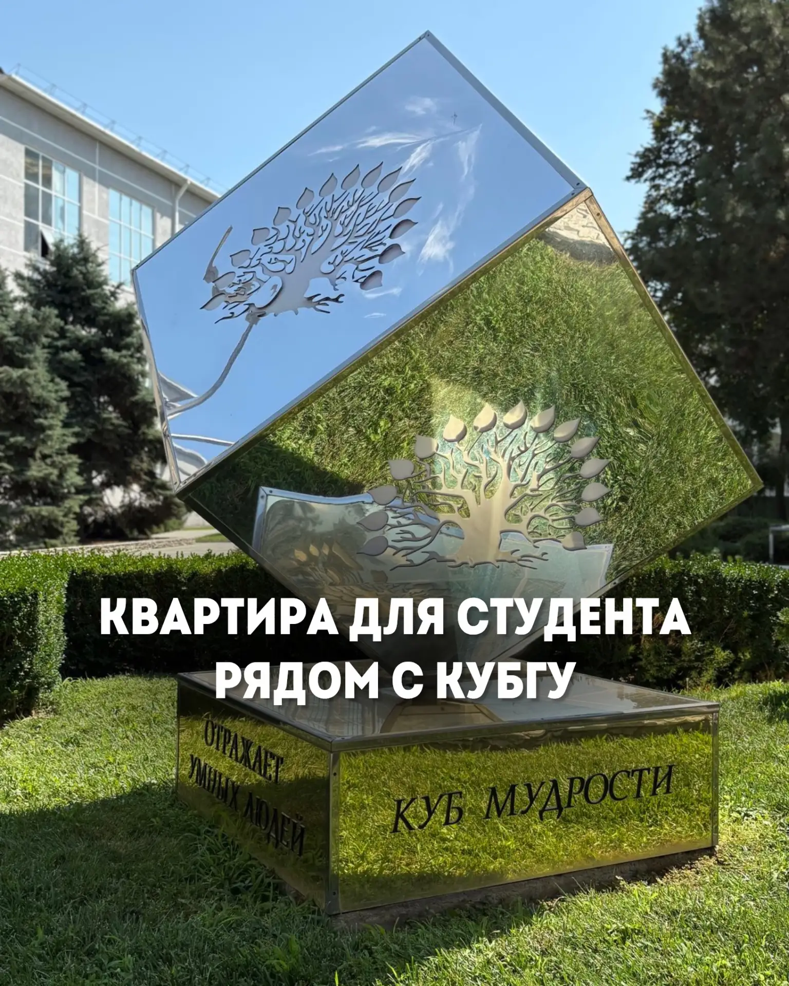Кажется, тема поступления в этом году особенно актуальна 🎓