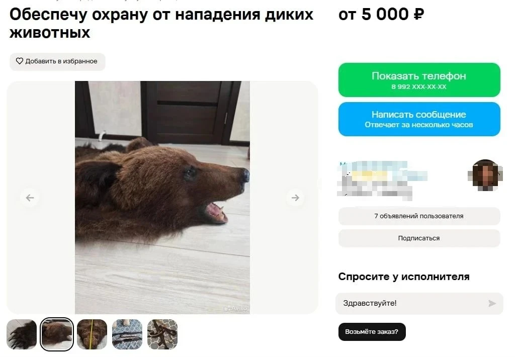 Новости других регионов