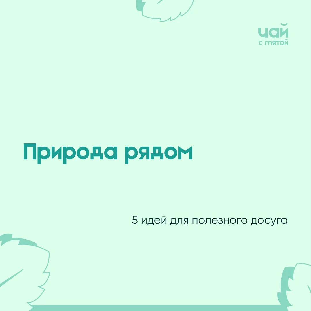 Дорогие родители!