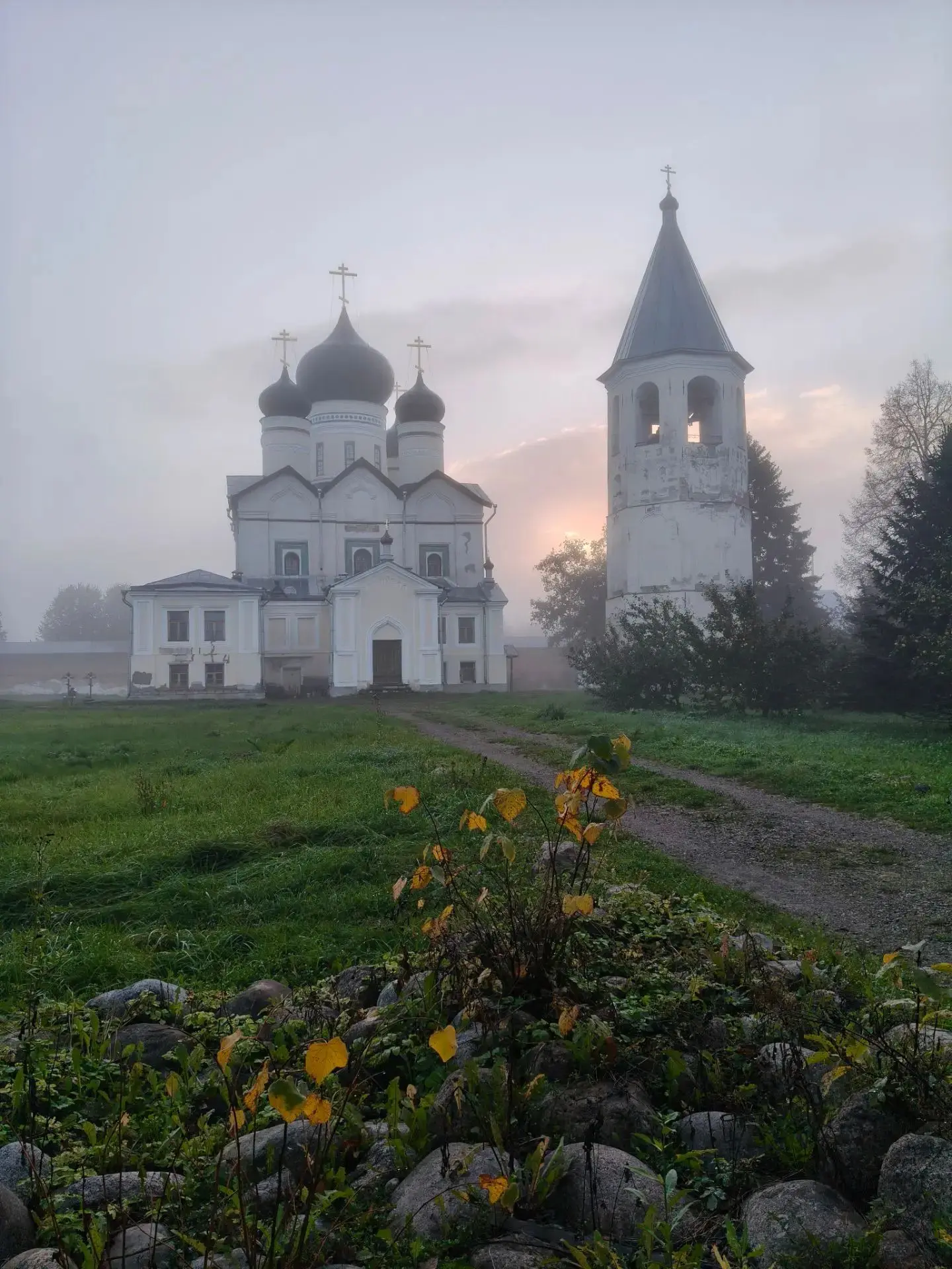 Осень наступила....