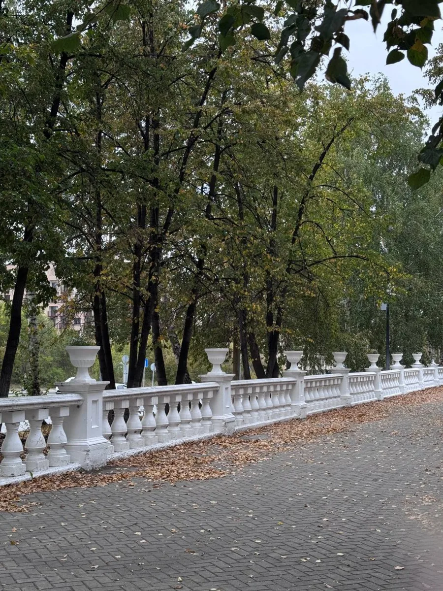 🍂 Шуршащие листья под ногами — один из главных звуков октября
