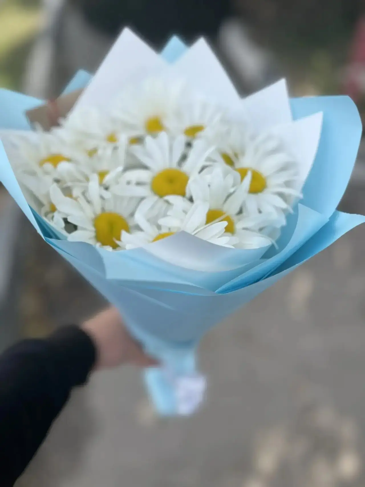 Ромашки в наличии 🩵
Возможен повтор🤍

1750💫

📍«Про100цветы»
     ул.Губкина 21-В