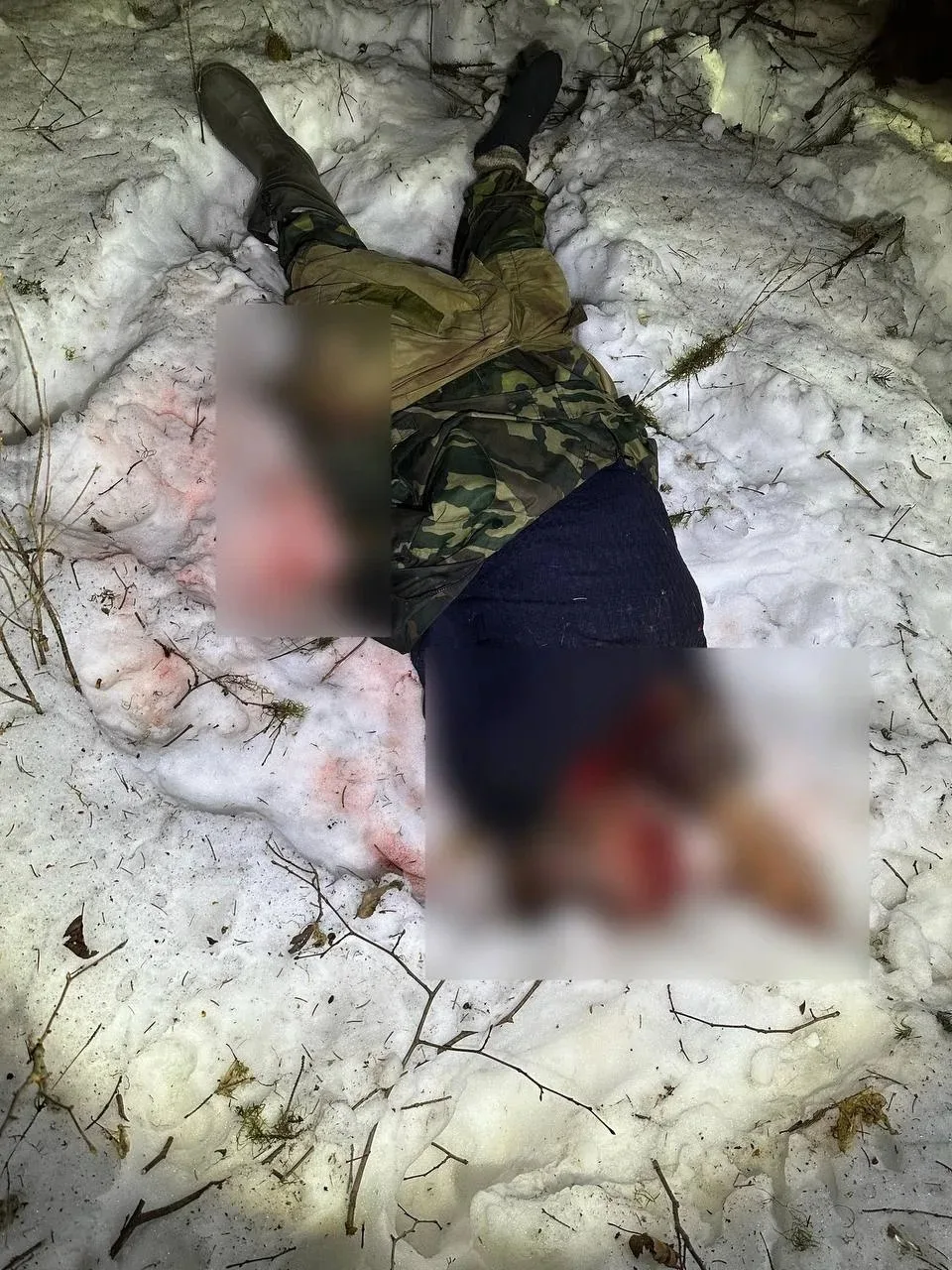 🐅 Приморье. Супруга лесничего, погибшего от лап тигра, получит 2 миллиона рублей. Но не от Центра «