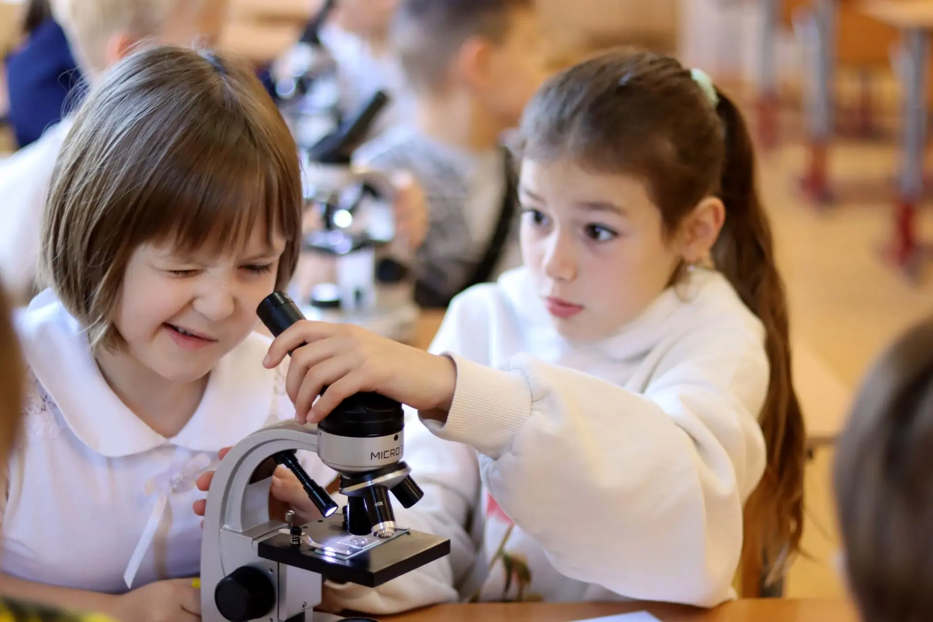 Охота на невидимок, или Ой, что-то побежало! 🐾🔬