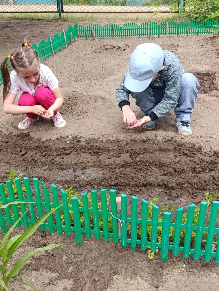 🌱Совсем недавно воспитанники нашего детского сада под руководством воспитателей посади...