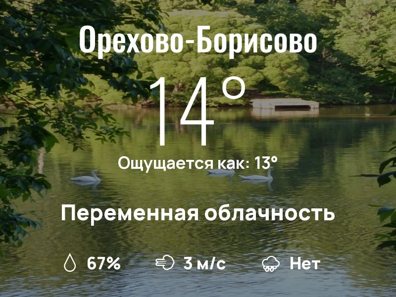 Что с погодой в Орехово-Борисово?