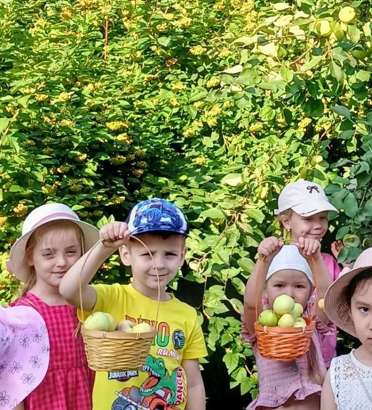 Юные садоводы: дети собрали урожай яблок" 🍏🍎🍏