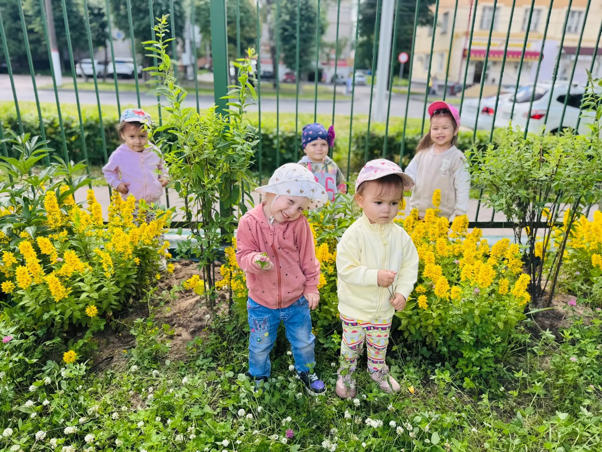 Как в детском саду изучали мир цветов! 🌷🐝

Каждый летний день — это настоящий праздник для воспита