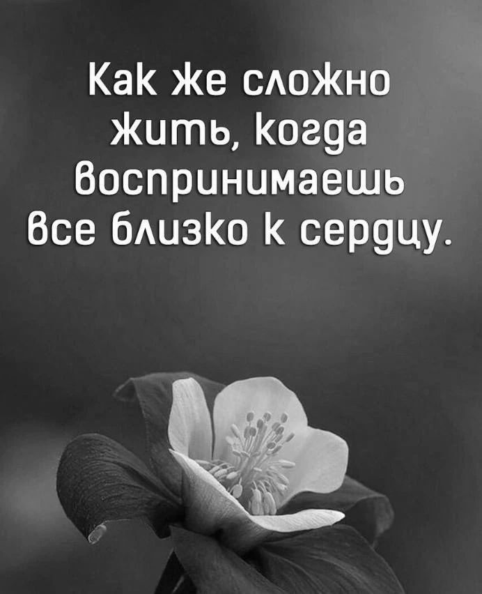 Цитаты жизни