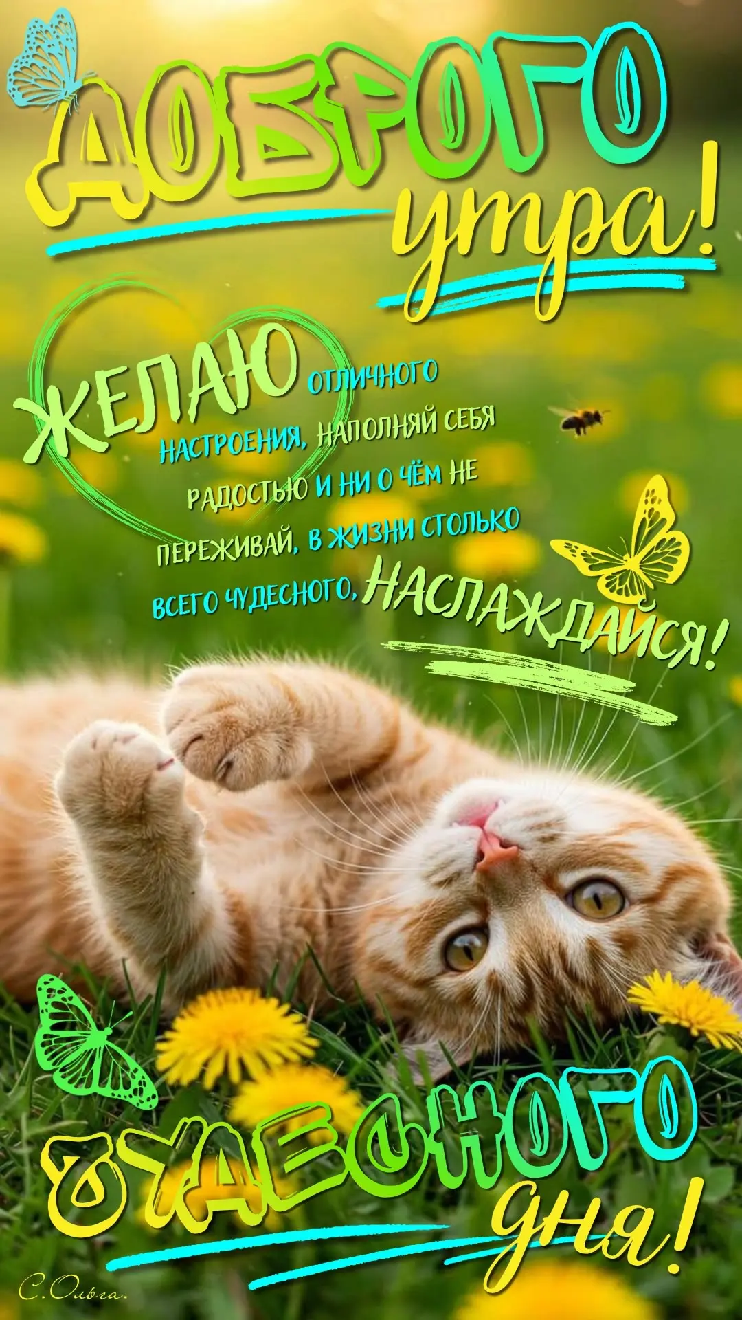 Открытки на каждый день 🎀